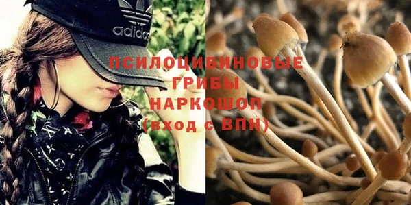 MDMA Беломорск