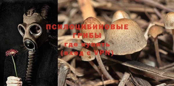 кокаин перу Белокуриха